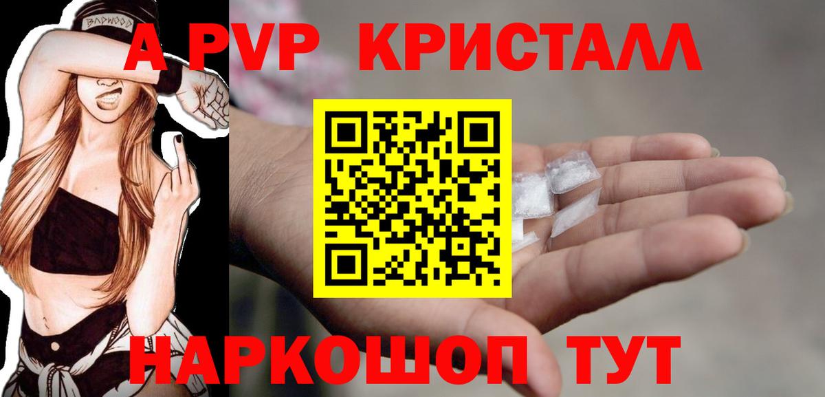 A PVP СК Сосновый Бор