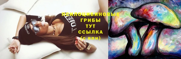 круглые Ельня