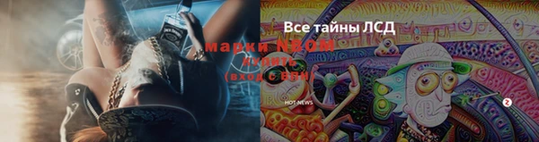 PSILOCYBIN Елабуга