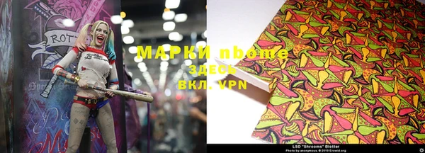 PSILOCYBIN Елабуга