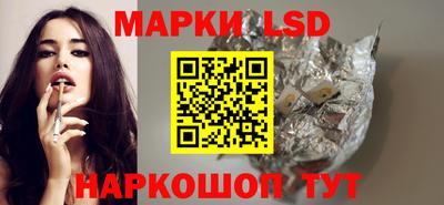гидропоника Можайск
